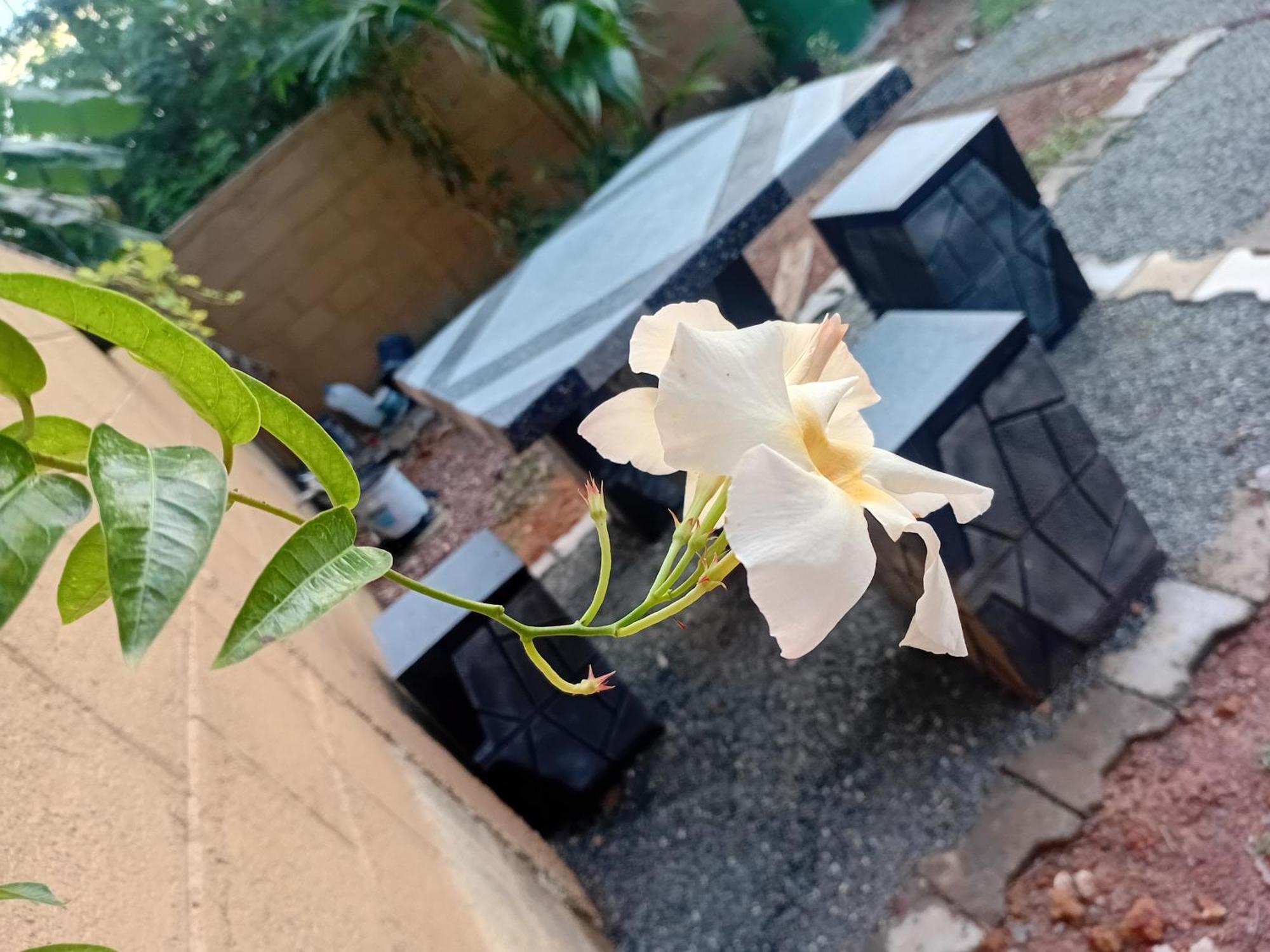 Liyans Eco Villa Habaraduwa Central エクステリア 写真